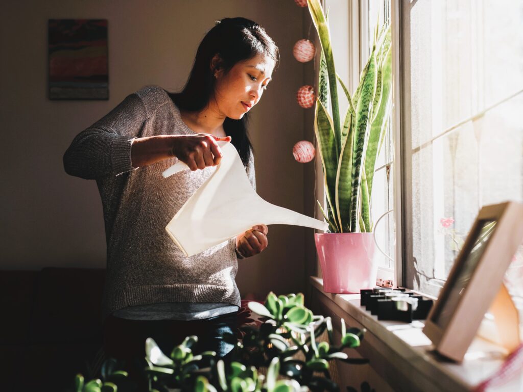 better taking care house plants