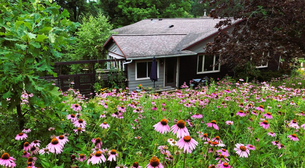 Native Yard