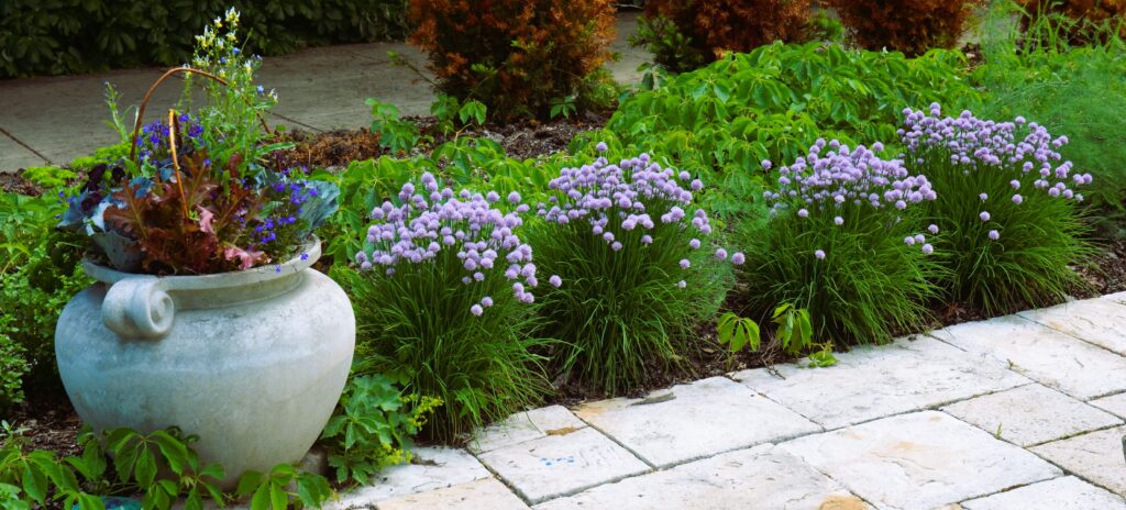 Combining Beauty and Functionality in Your Canadian Garden