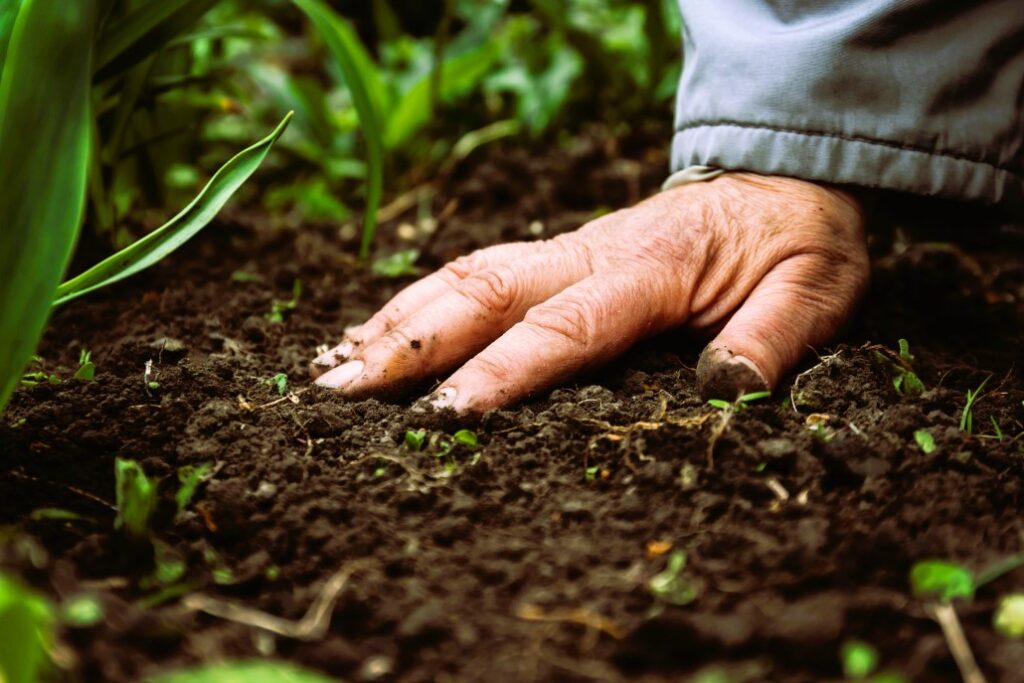 A female old hand on soil-earth