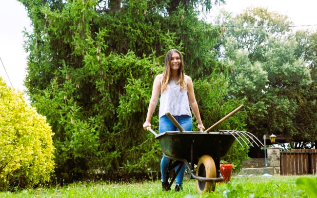 choose a wheelbarrow