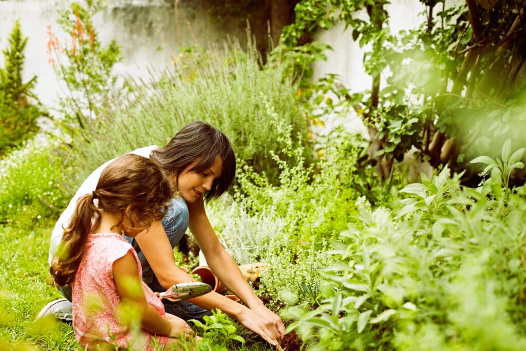 Organic Pest Control