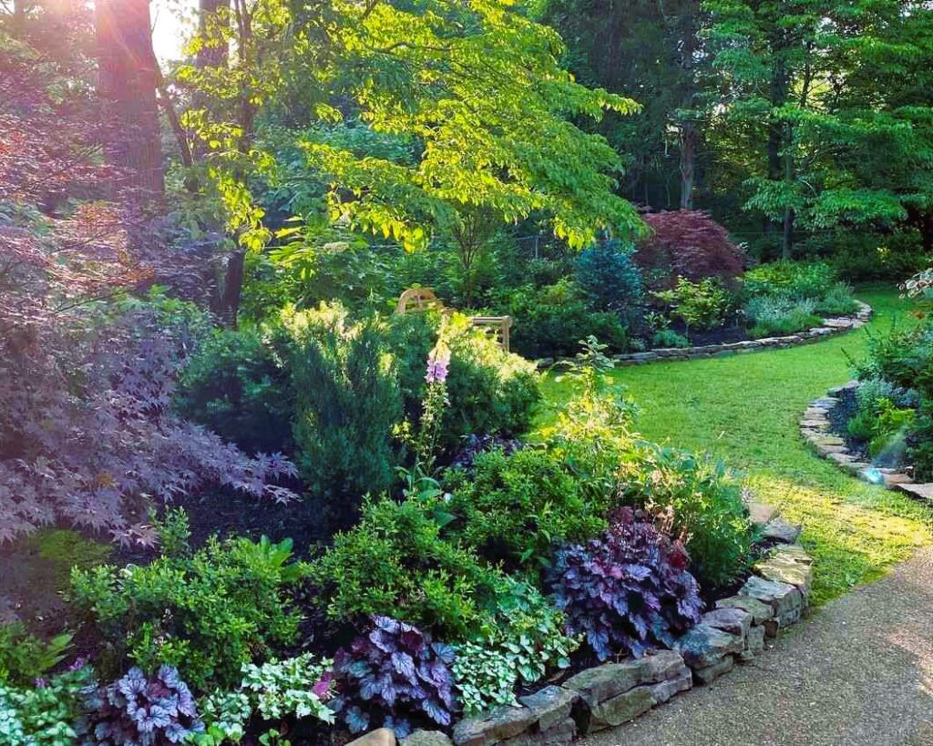 Beauty of Perennials