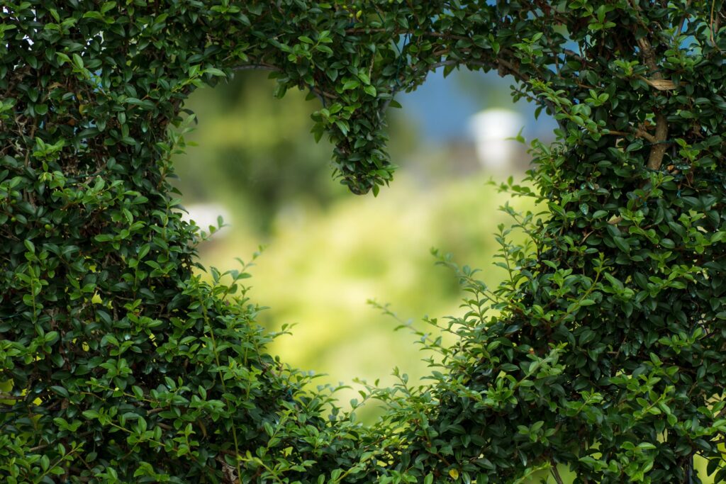 vertical garden design