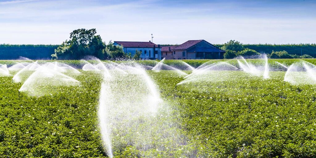 Watering the garden